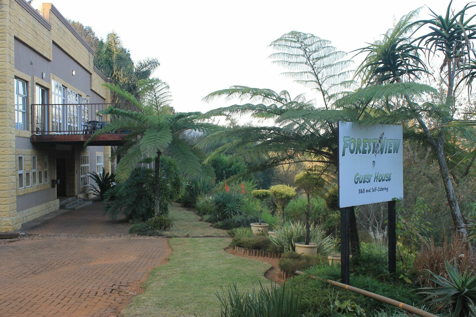 Forest View Guest House & Self Catering サビー エクステリア 写真